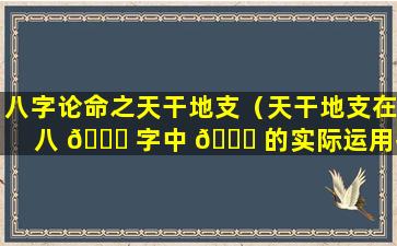 八字论命之天干地支（天干地支在八 🐅 字中 🐘 的实际运用技巧）